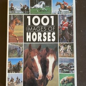 1001 Images of Horses Book